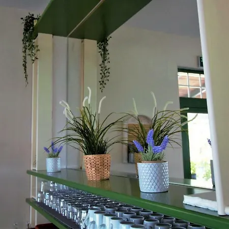 Dionysos 3* Skala Potamia (Thasos)