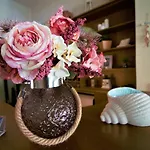 Dionysos Hotel
